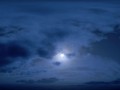 ww.nevsepic.com.uamin_yapfiles.ru