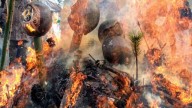 с пончиками дондэяки и куклами дарума, Иокогама, Япони