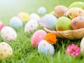 Easter_Closeup_Eggs_Grass_564296_1280x854