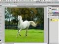 Top 5 новых возможностей Adobe Photoshop CS5