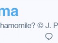 nenorma