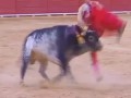 В Испании бык убил матадора Виктора Баррио прямо во время выступления.