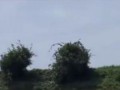 Энергия пропала - ветряки остановились
