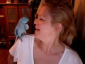 Cody the Peekaboo Parrot