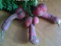 редиску
