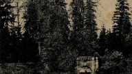 63