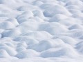 snow-ground