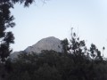 SDC12655