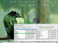 LinuxMint-OS-Linux