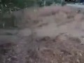 Трофейная команда