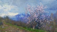 Ярослав.Цветущий миндаль.