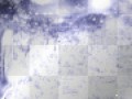 812193640_2061675