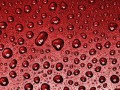 drops_texture526