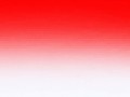neon_otbl_red_yapfiles.ru