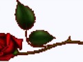 _arnusha