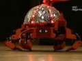 Танцы шестиногих роботов