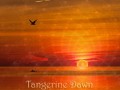 Djane Yaleeni - Tangerine Dawn
