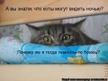 28.029