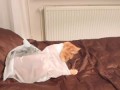 Cat fail - plastic bag