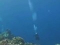 подводотрясение