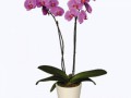 c78feb241ea30e