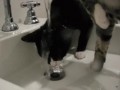 1360411259_1359655218_gifs_220