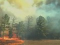 See how fast wildfire spreads - Texas Parks and Wildlife [Official]
