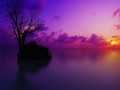 Dj Samsara  - Purple Sunrise 