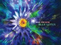 www.bestmusica.ru - Don Peyote - Blue Lotus (2015)