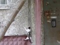 Кот-скалолаз Cat-rock climber