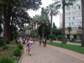2019-06-29 13-55-46