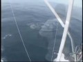 Marlin jumps in boat almost kills camera man in Cabo San Lucas