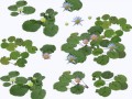 _yapfiles.ru-min