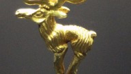 Arzhan_deer