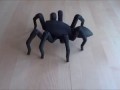 Танцующий паук!