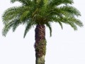 0_8736a_d28db23e_XL