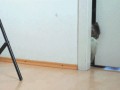 01(1)