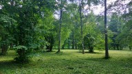 20260623_145641 копия