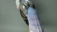 statuetka-germaniya-antikvariat-caplya-rosenthal-188