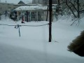 Снегопад в Камышине. Кошка и сугроб!!!