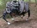 В США проходит испытания четырехногий робот-мул