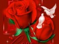 Yap Fajly 60105793 59900984 F44f2c867b5a
