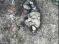 жуть