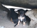IMG_20160720_143746