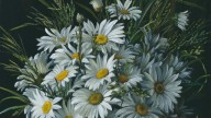nature_morte