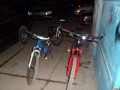 SAM_0353