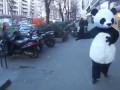 Панда валит с ног особой уличной магией!