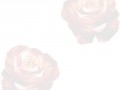 4_7
