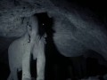 подземные слоны