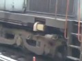 Lucky Dog Under Train ! Amazing Incident